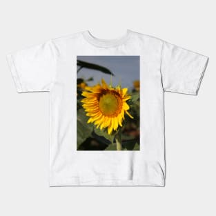 Bright and Colorful Sunflower in a Field Kids T-Shirt